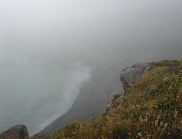 Fog along the ocean