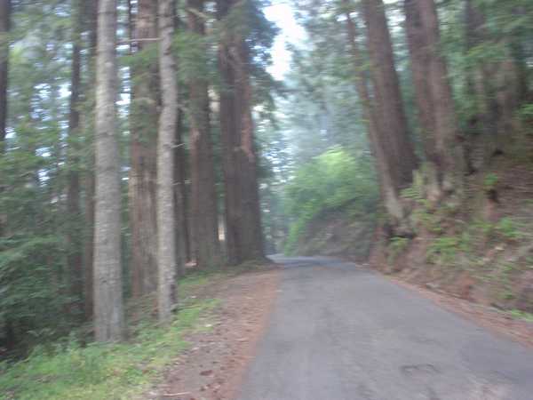 The Climb up Fort Ross Road