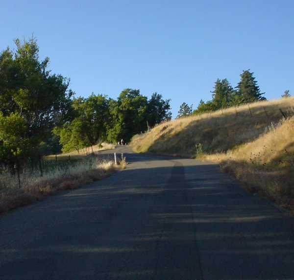 Near the top of Fort Ross Road